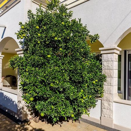 Apartments Palm Tree Trogir Luaran gambar
